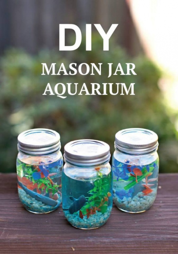 DIY Aquarium