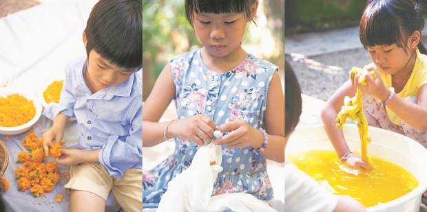 ชวนเด็กๆ มาทำ ” ผ้ามัดย้อม ” จากสีของดอกดาวเรือง