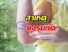เฉลยสาเหตุ ทำไมยุงกัดบางคนมากกว่าคนอื่น