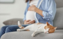 สัตว์เลี้ยงเป็นอันตรายต่อทารกในครรภ์ได้หรือไม่?!